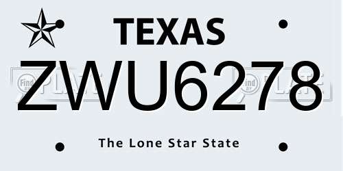 ZWU6278 Texas License Plate