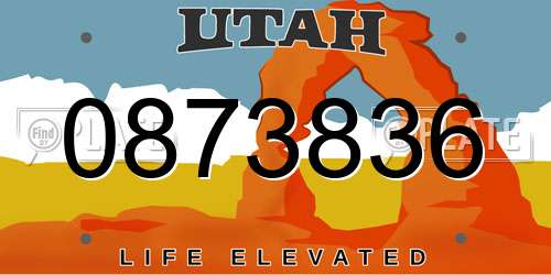 0873836 Utah License Plate