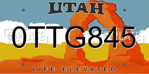 0TTG845 Utah License Plate