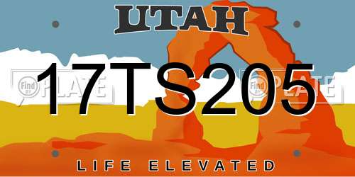 17TS205 Utah License Plate