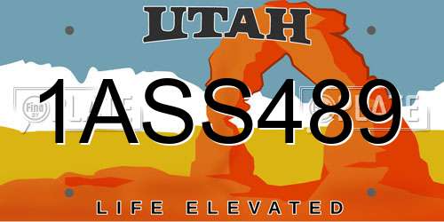 1ASS489 Utah License Plate