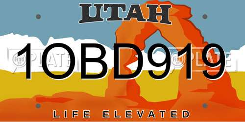 1OBD919 Utah License Plate