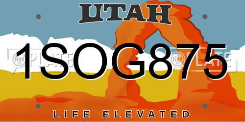 1SOG875 Utah License Plate