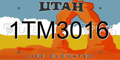 1TM3016 Utah License Plate