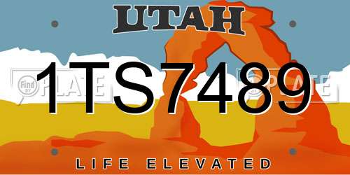 1TS7489 Utah License Plate