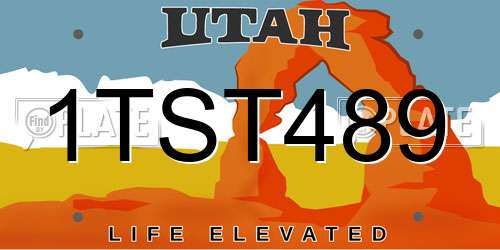 1TST489 Utah License Plate
