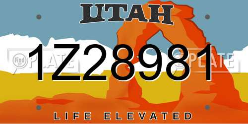 1Z28981 Utah License Plate