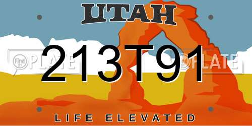 213T91 Utah License Plate