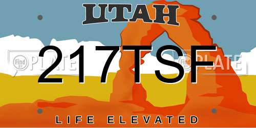 217TSF Utah License Plate