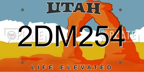 2DM254 Utah License Plate