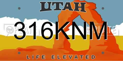 316KNM Utah License Plate