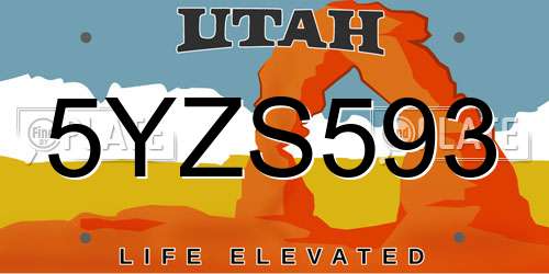 5YZS593 Utah License Plate