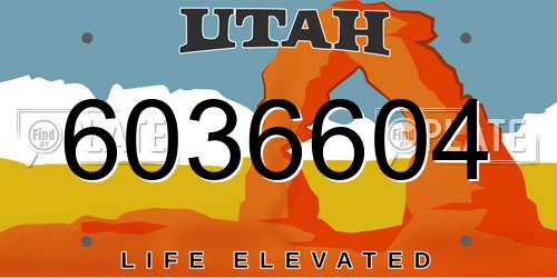 6036604 Utah License Plate