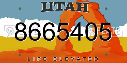 8665405 Utah License Plate