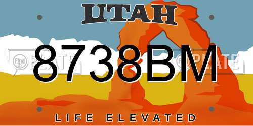 8738BM Utah License Plate
