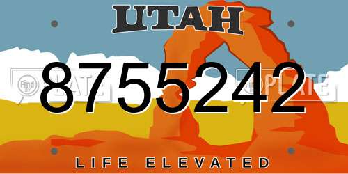 8755242 Utah License Plate