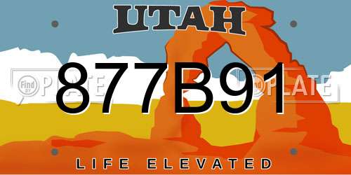 877B91 Utah License Plate