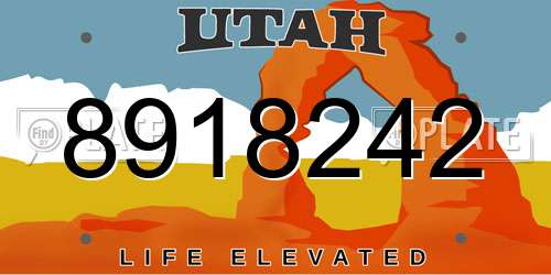 8918242 Utah License Plate