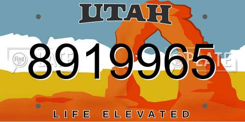 8919965 Utah License Plate