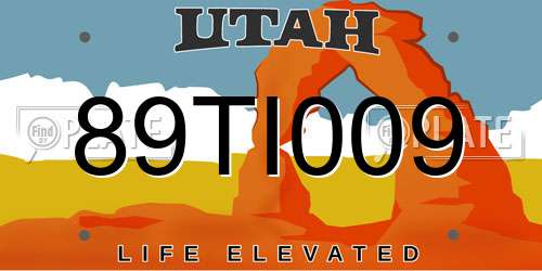 89TI009 Utah License Plate