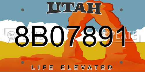 8B07891 Utah License Plate