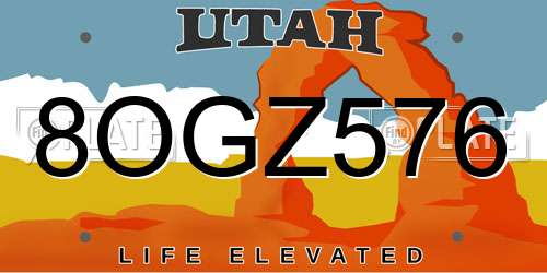 8OGZ576 Utah License Plate