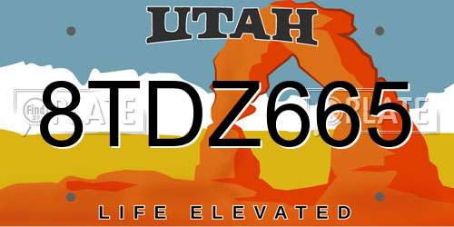 8TDZ665 Utah License Plate