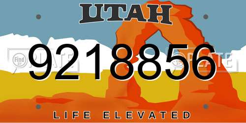 9218856 Utah License Plate