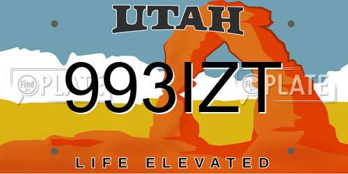 993IZT Utah License Plate