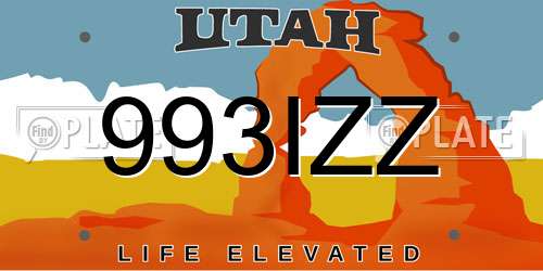 993IZZ Utah License Plate