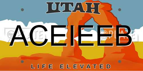 ACEIEEB Utah License Plate