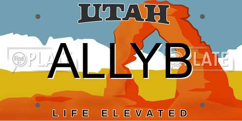 ALLYB Utah License Plate