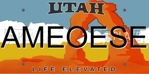 AMEOESE Utah License Plate
