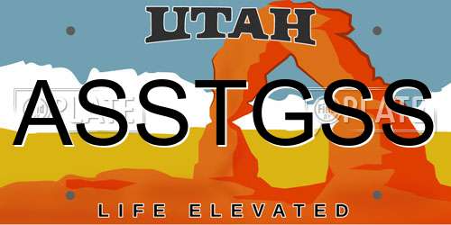 ASSTGSS Utah License Plate