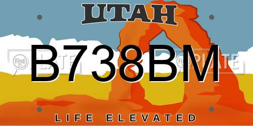 B738BM Utah License Plate