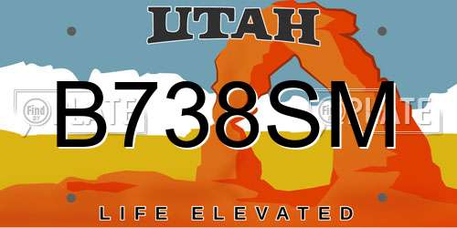 B738SM Utah License Plate