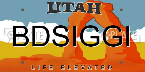 BDSIGGI Utah License Plate