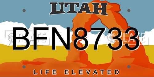 BFN8733 Utah License Plate