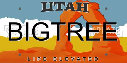 BIGTREE Utah License Plate