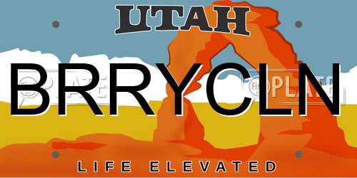 BRRYCLN Utah License Plate