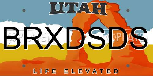 BRXDSDS Utah License Plate