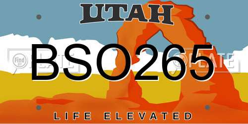 BSO265 Utah License Plate