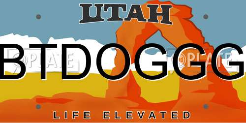 BTDOGGG Utah License Plate