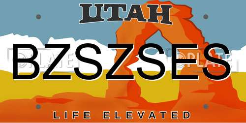 BZSZSES Utah License Plate