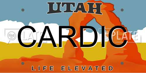 CARDIC Utah License Plate