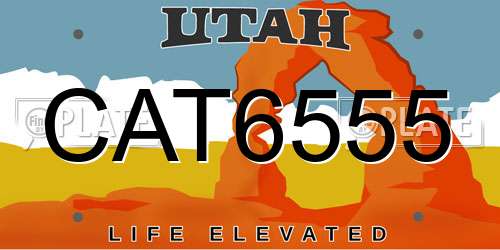CAT6555 Utah License Plate