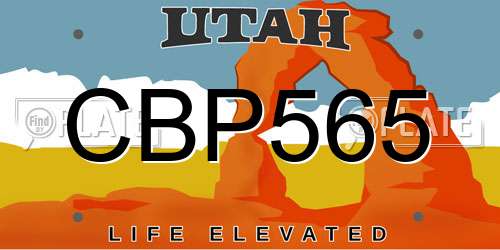 CBP565 Utah License Plate
