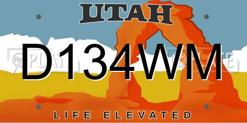 D134WM Utah License Plate