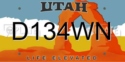 D134WN Utah License Plate