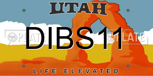 DIBS11 Utah License Plate